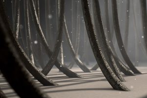 Mikroskopski prikaz vlasi kose